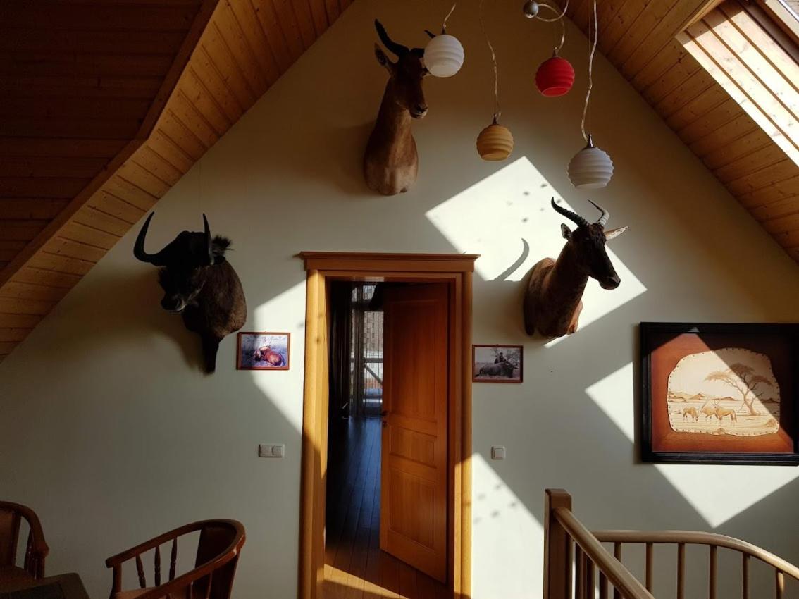 Apartamentai Hunter House Druskininkai Exteriör bild
