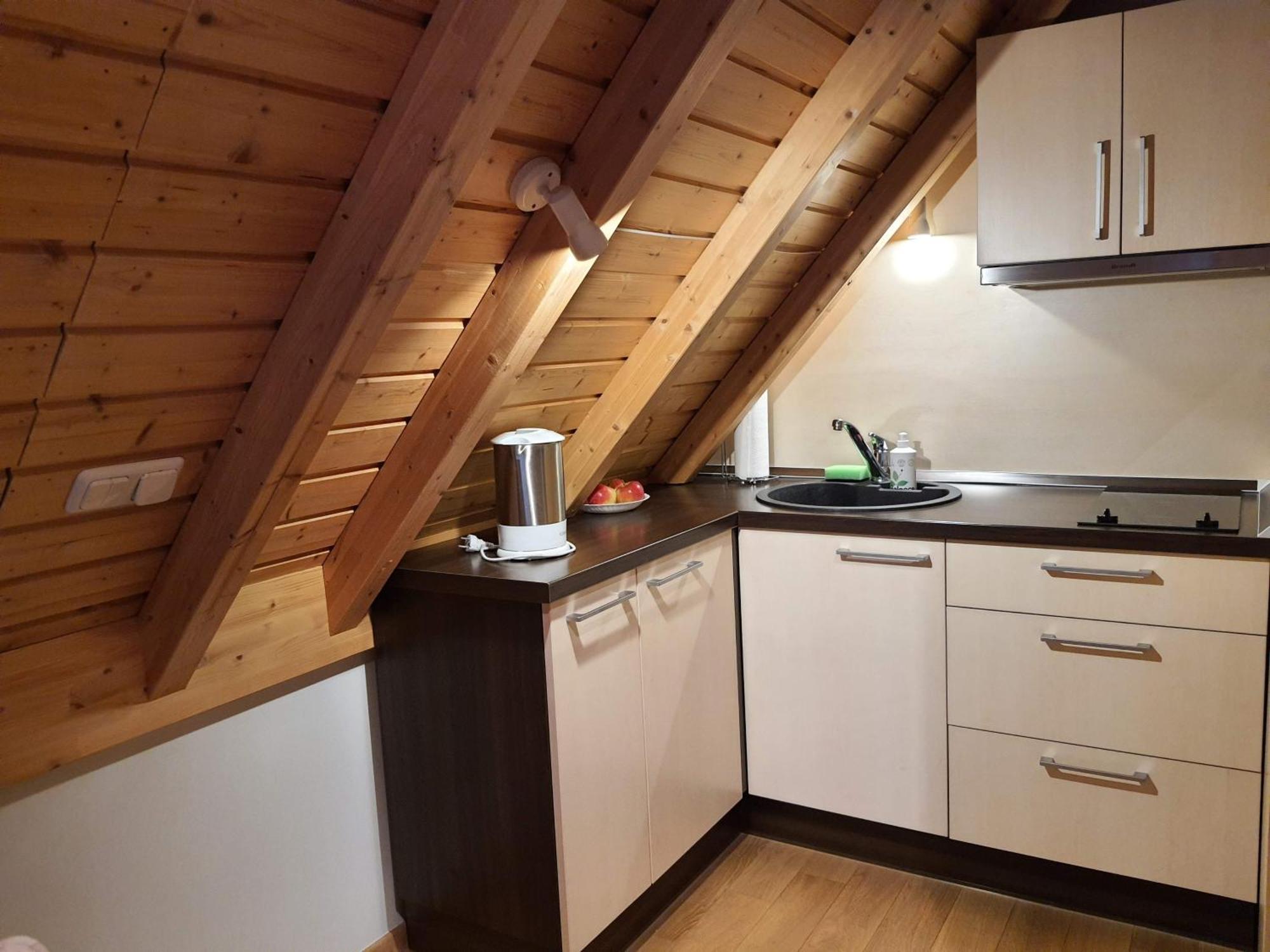 Apartamentai Hunter House Druskininkai Rum bild